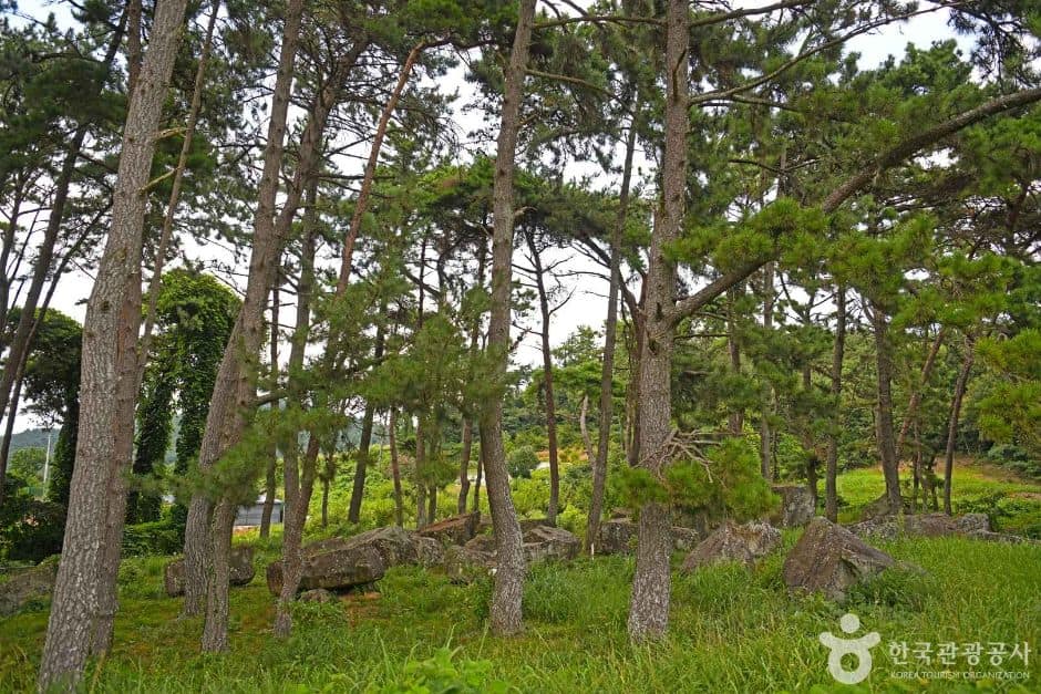 영광_영광 성산리지석묘군 (2)