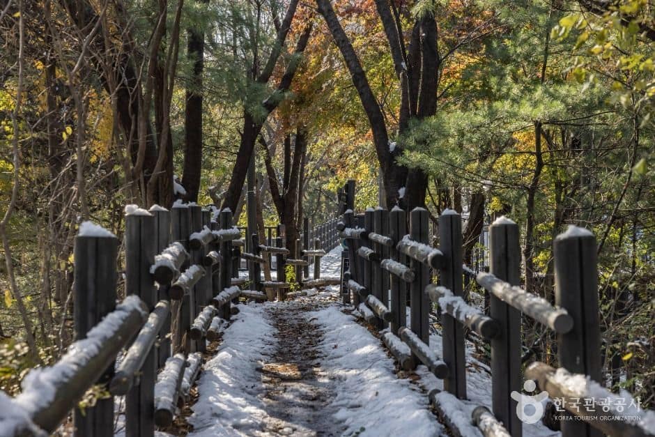 서울양천_갈산근린공원 (6)