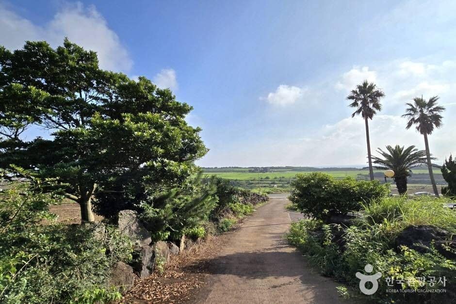 당산봉_e (9)