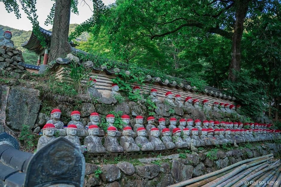 보성 가볼만한곳 보성 여름방학 가족 여행_천봉산 대원사_4-7