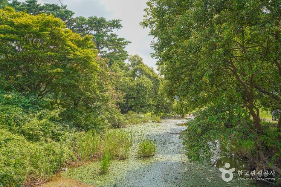 전남_화순_송석정유원지 (1)