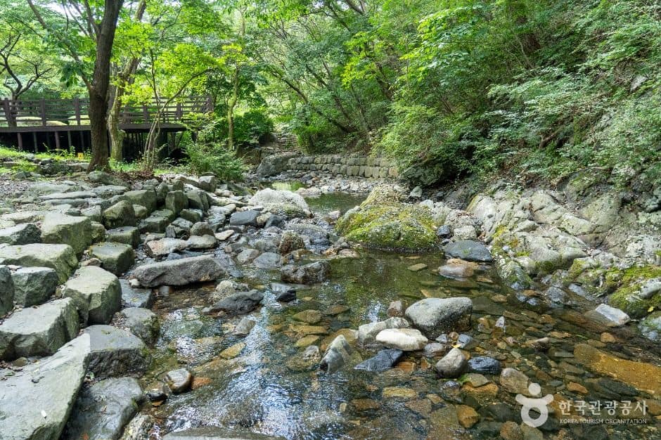 보령_화장골계곡 (5)
