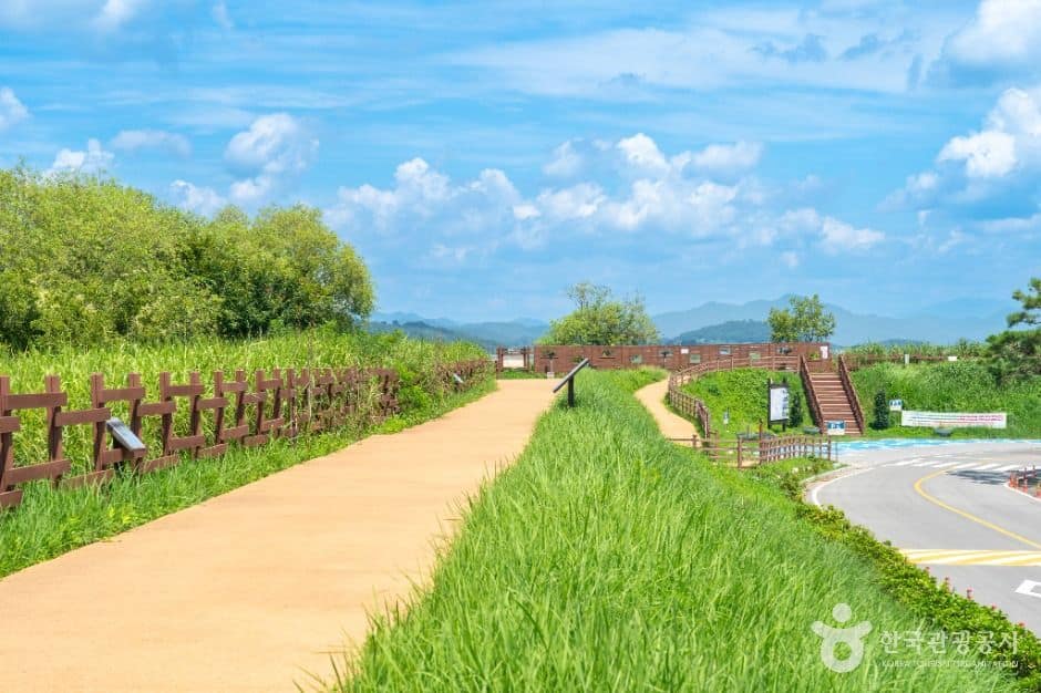창원_주남저수지 철새도래지 (1)