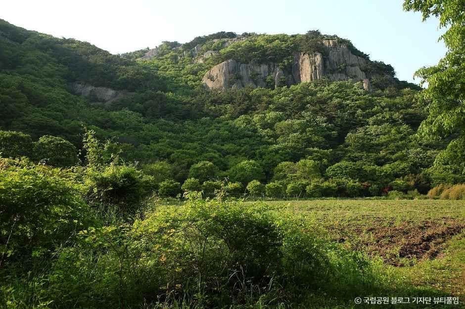 부안_내변산 (5).jpg