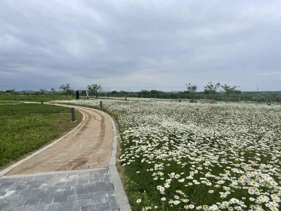 화성_화성에코팜테마파크 (6).jpg