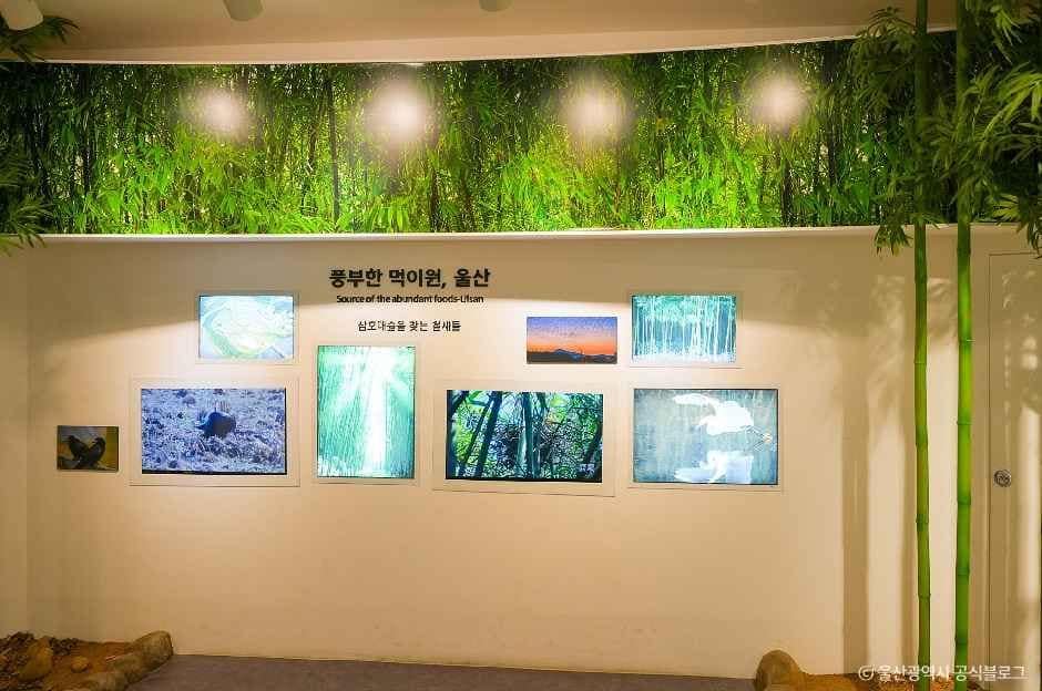 울산_철새홍보관 (3).jpg