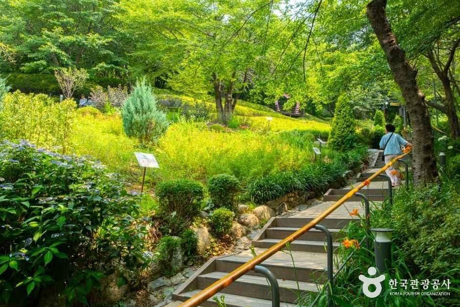 서울_서대문_서대문 안산(안산자락길)_외부_8.jpg