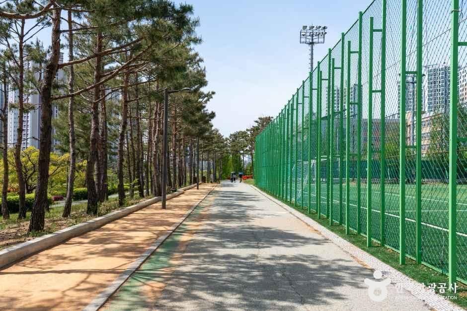 화성_동탄치동천체육공원 (5).jpg