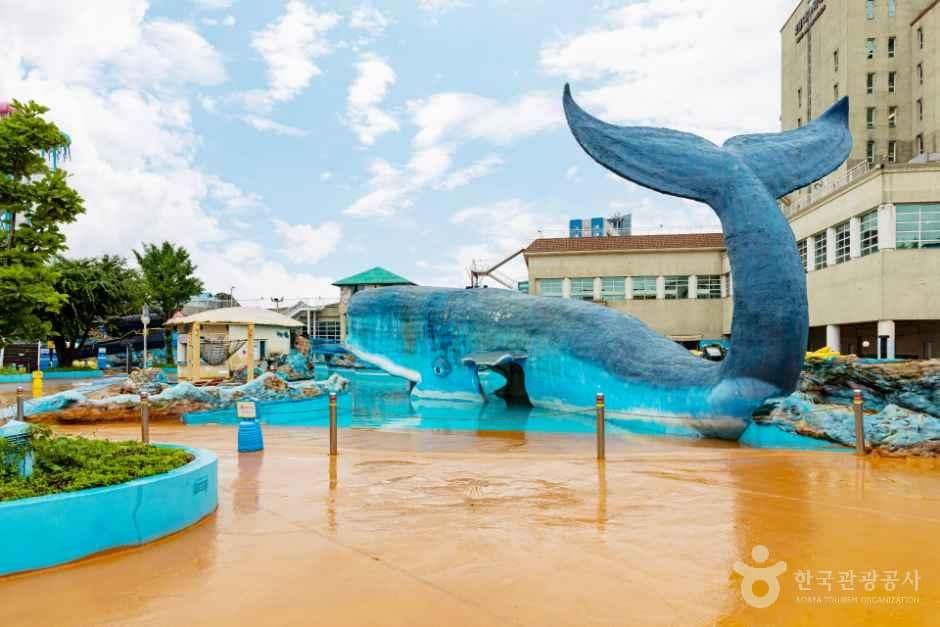 보령_호텔마스타대천 워터파크 (5).jpg