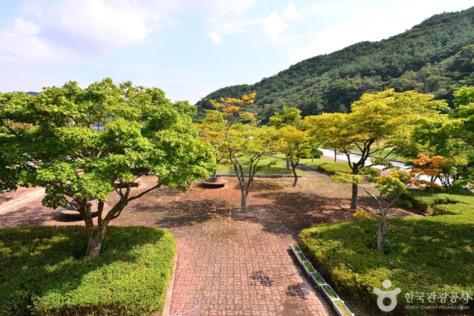 불갑저수지 수변공원 (3)