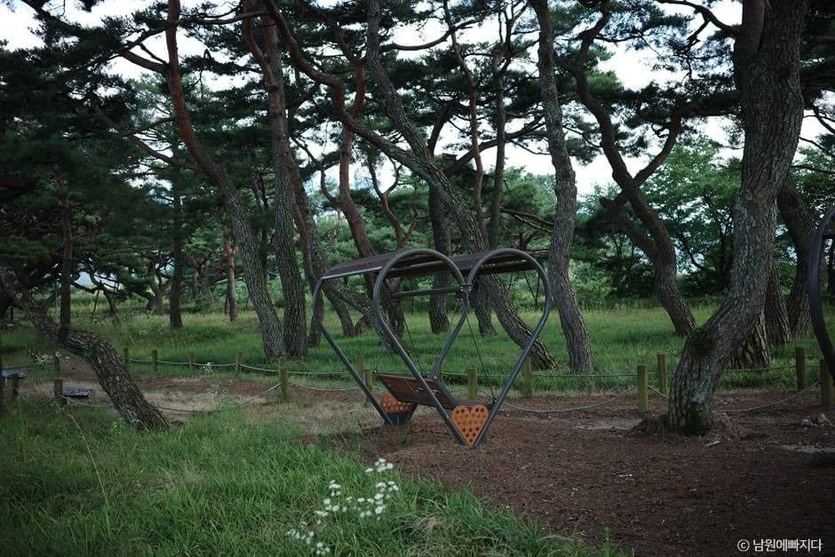 남원_서어나무 숲 (5)