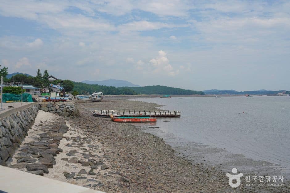 전남_고흥 신기거북이마을 (5)