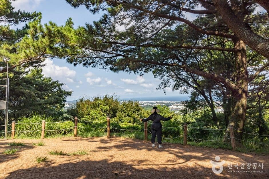 제주_한라수목원 (8)