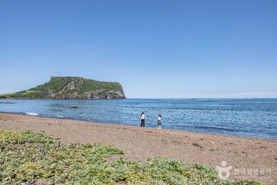 제주_성산포JC공원 (7)