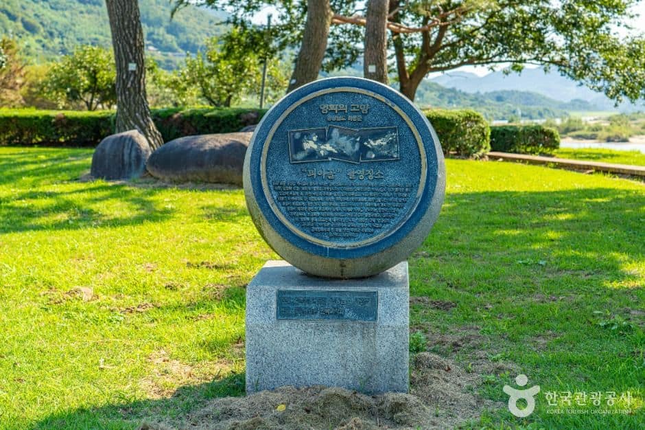 하동_평사리공원 (1)