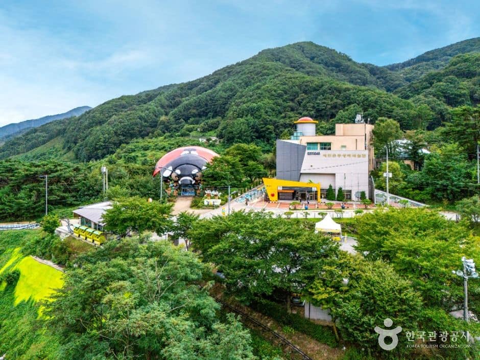 예천_예천 곤충연구소 곤충생태원 (7)