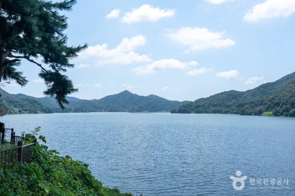 보령_보령호 (5)
