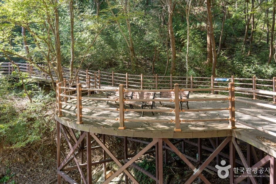 장성_장성호 수변길 (7)