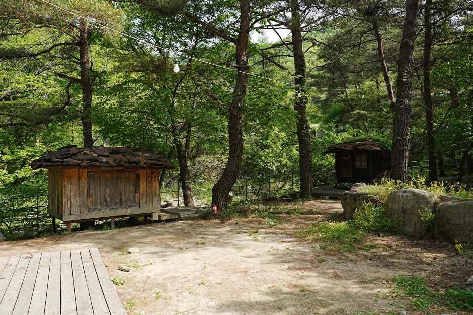 홍천_트리하우스계곡야영장_ (1).JPG