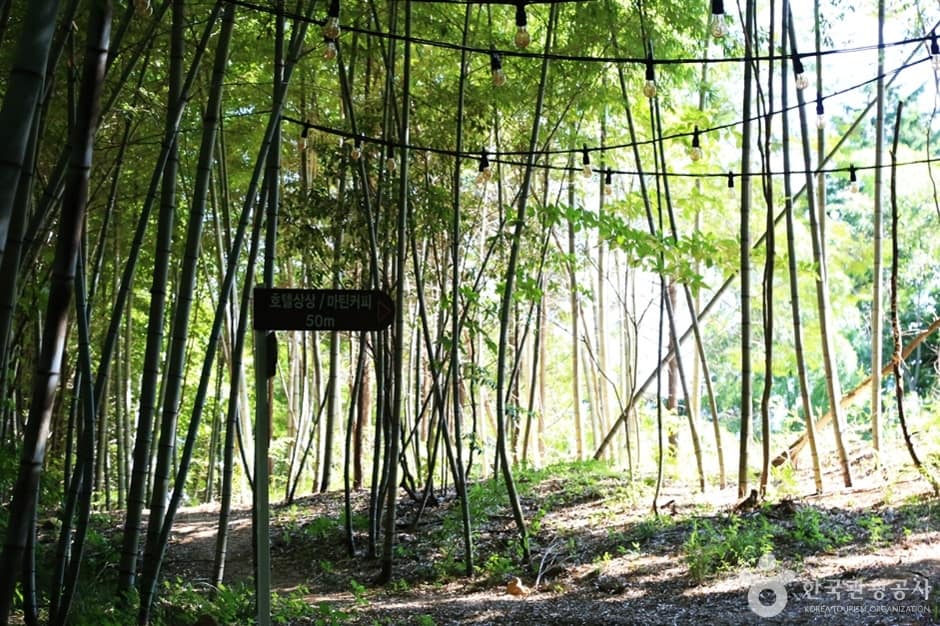 상상산책길 (20)