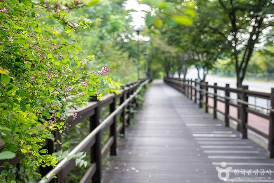 헤이리무장애노을숲길 (15)