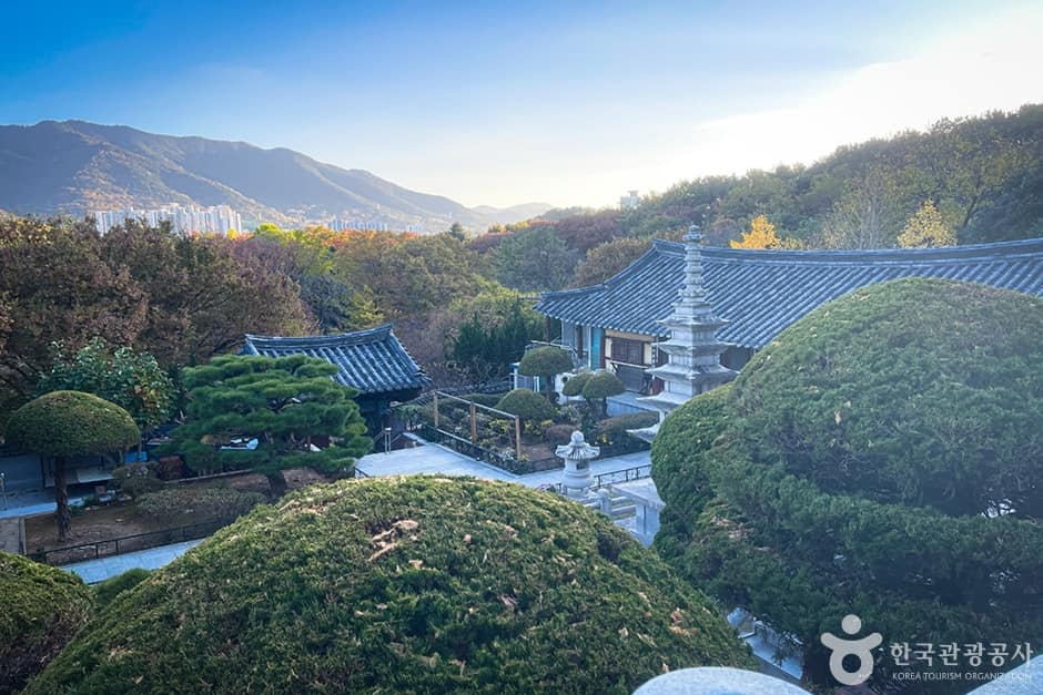 금용사 (8)