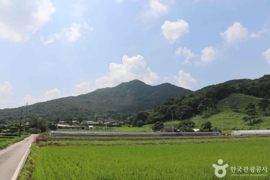 덕숭산 (1)_e