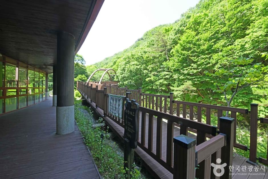 금강생태숲 (1)