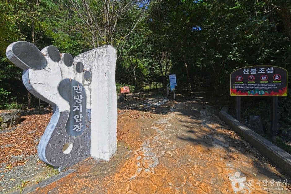 강원_화천_낭천산림욕장 (2)