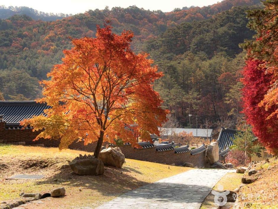 영월 법흥사