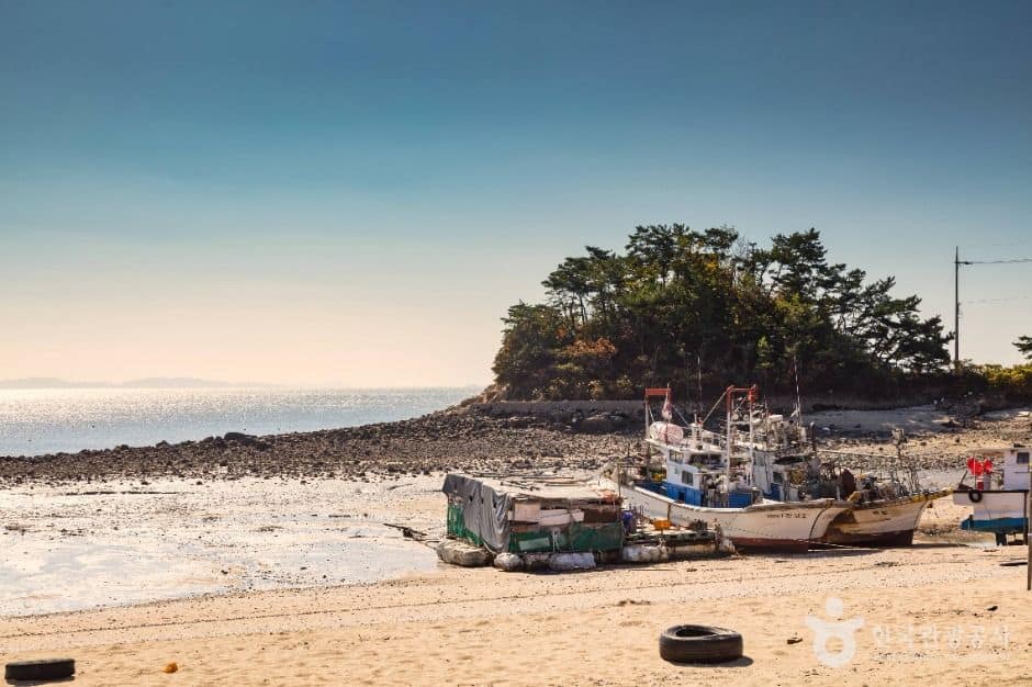인천_왕산해수욕장 (5)