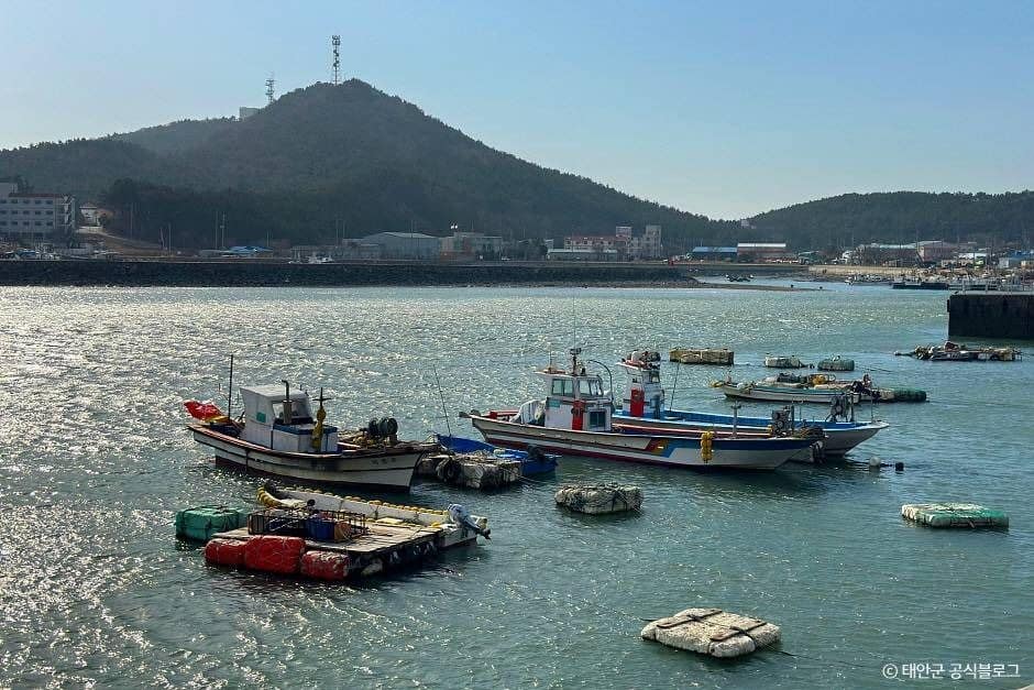 태안_안흥나래교 (1)