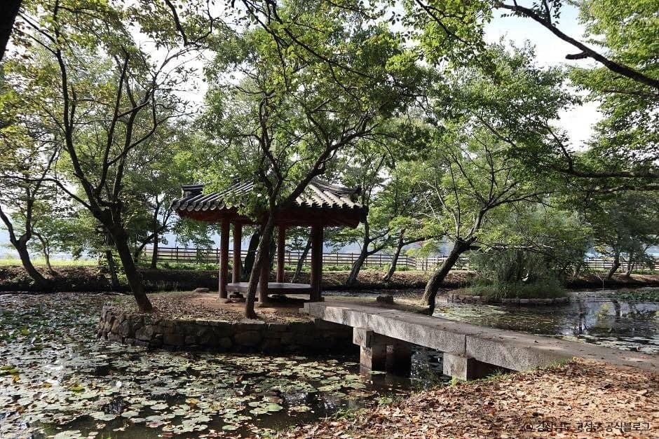 고성_장산숲 (7)