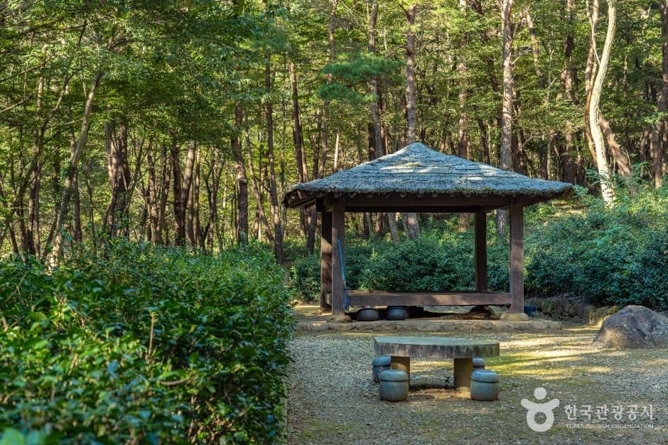 구례_구례장죽전녹차시배지 (7)
