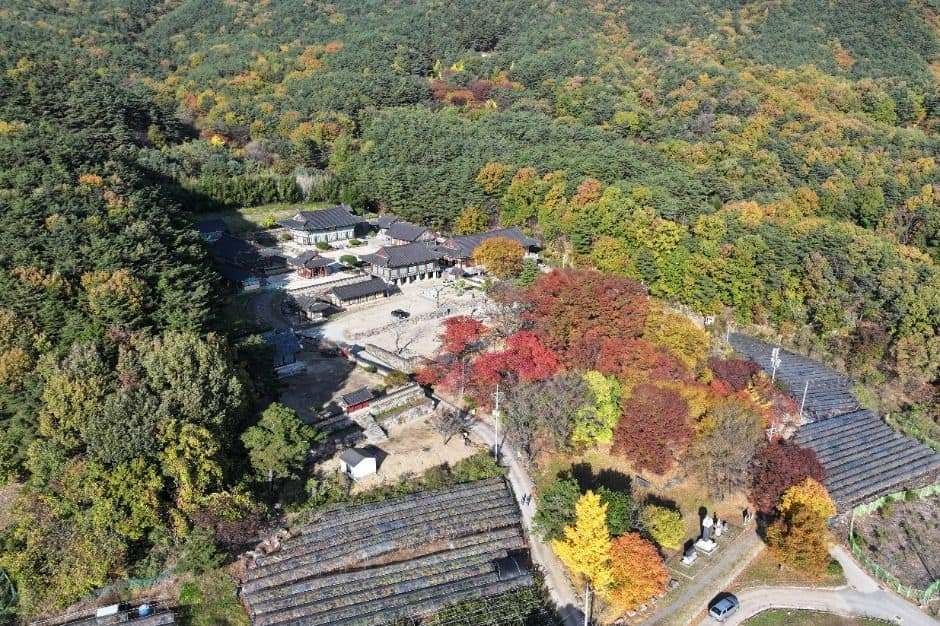 대구_부인사(대구) (5)