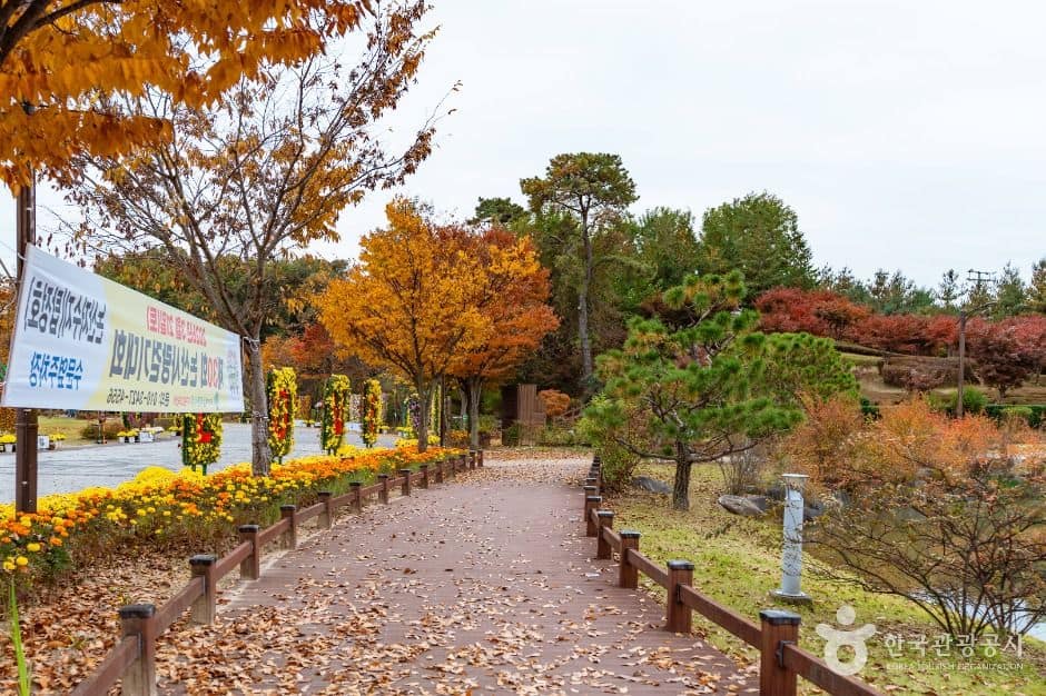 논산_논산 시민가족공원 (3)