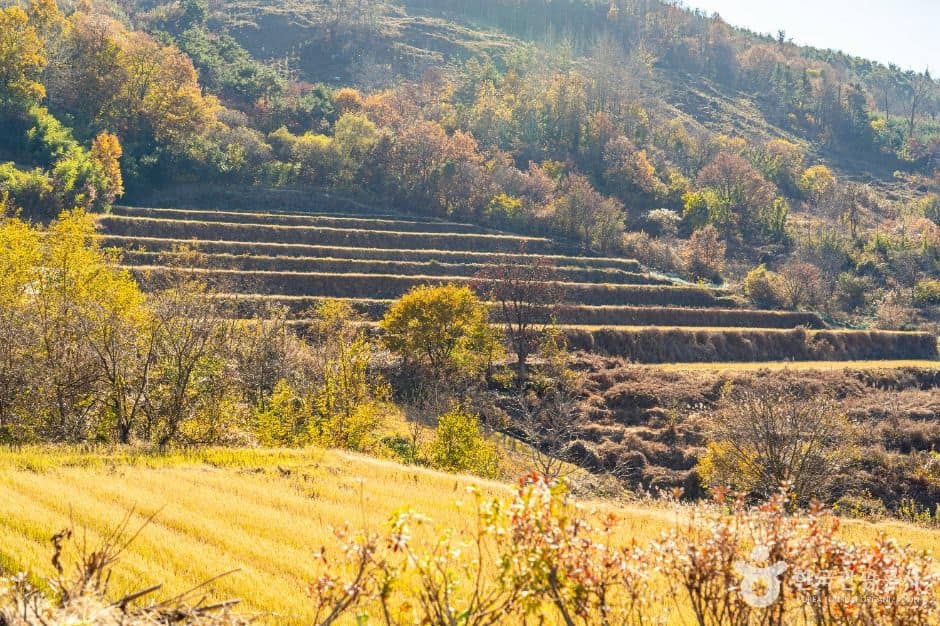 남원_상황마을 (8)