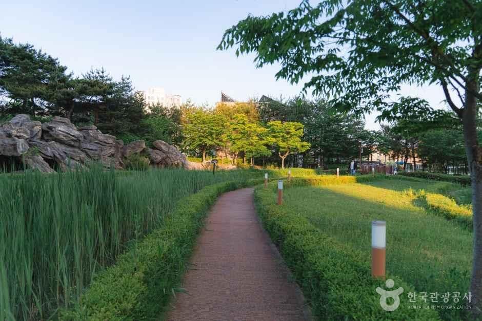 세종_세종_푸른뜰근린공원_정원 곳곳을 지나가는 산책로_4.jpg