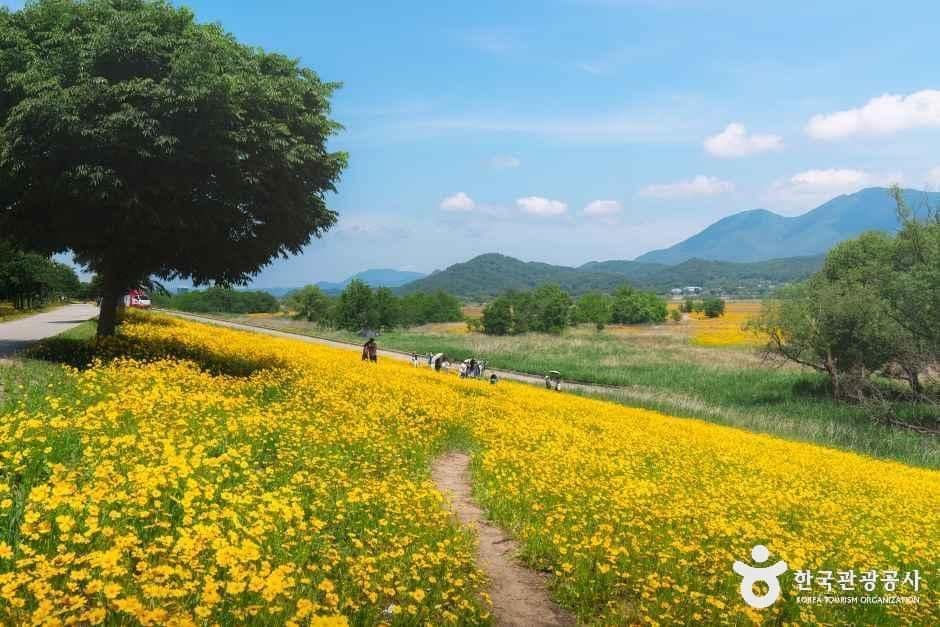 경북_구미_강정습지_외부_1.jpg