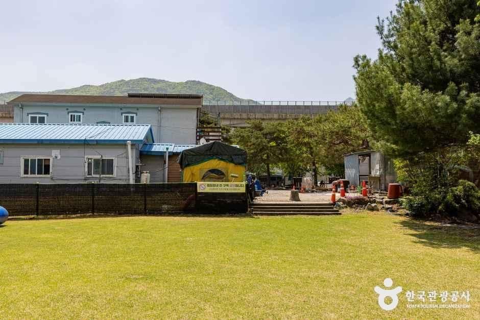 괴산_시냇가 캠핑장 (5).jpg