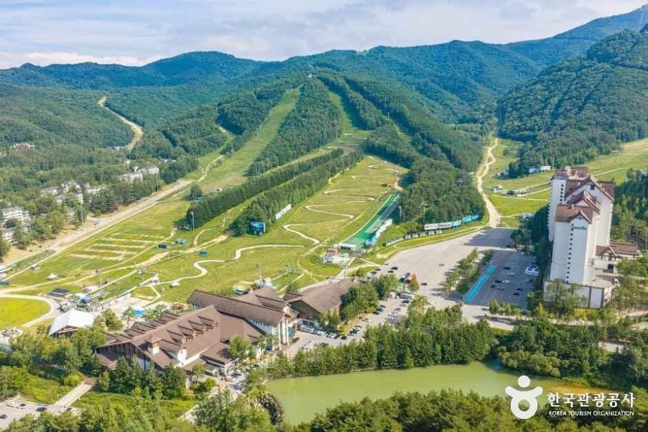 평창_모나용평 (4).jpg