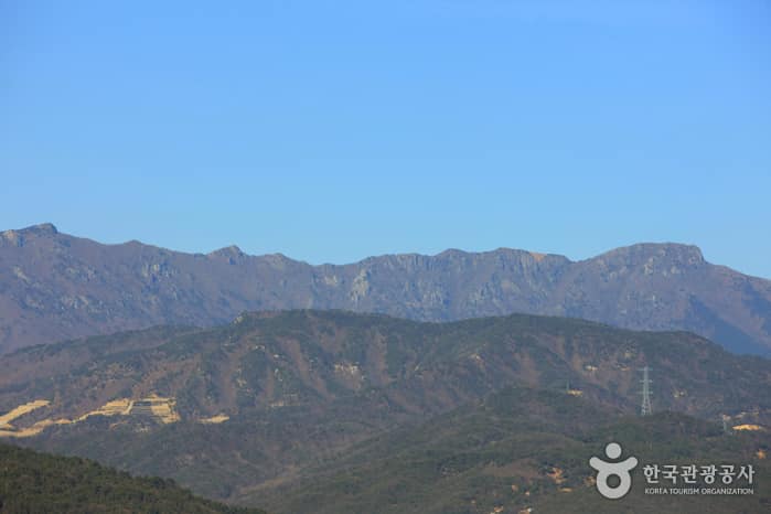 영축산_015