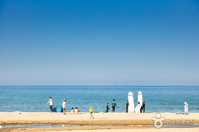 죽도해수욕장 1