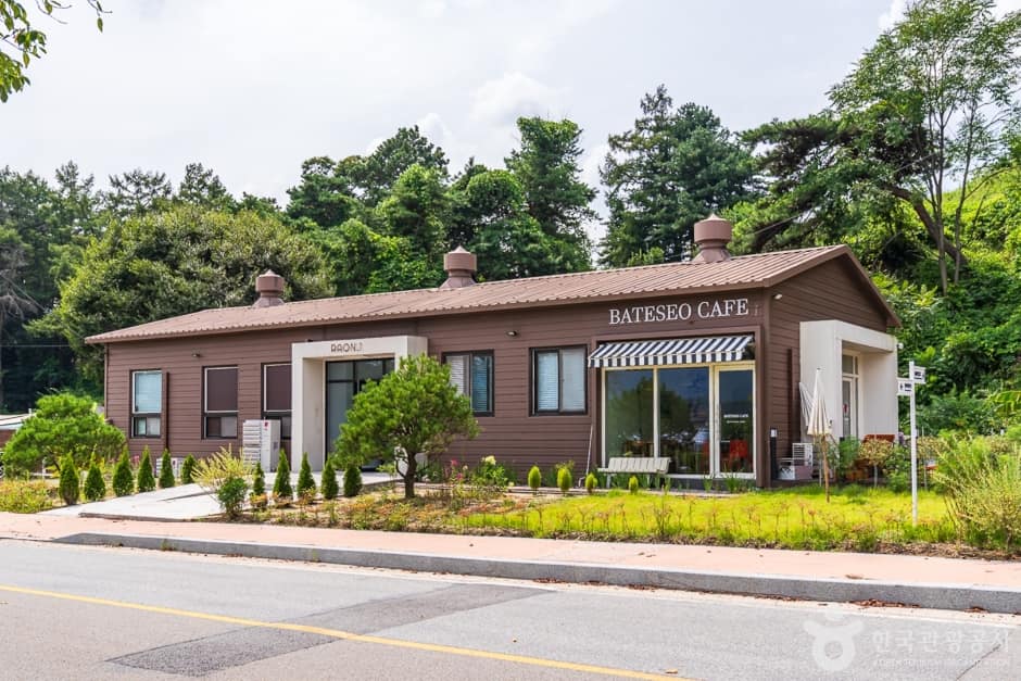 충북_청주_진희네딸기(10)