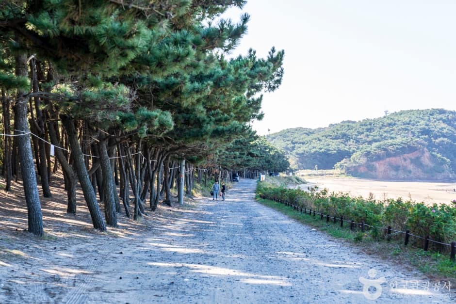 밧개해수욕장 (6)