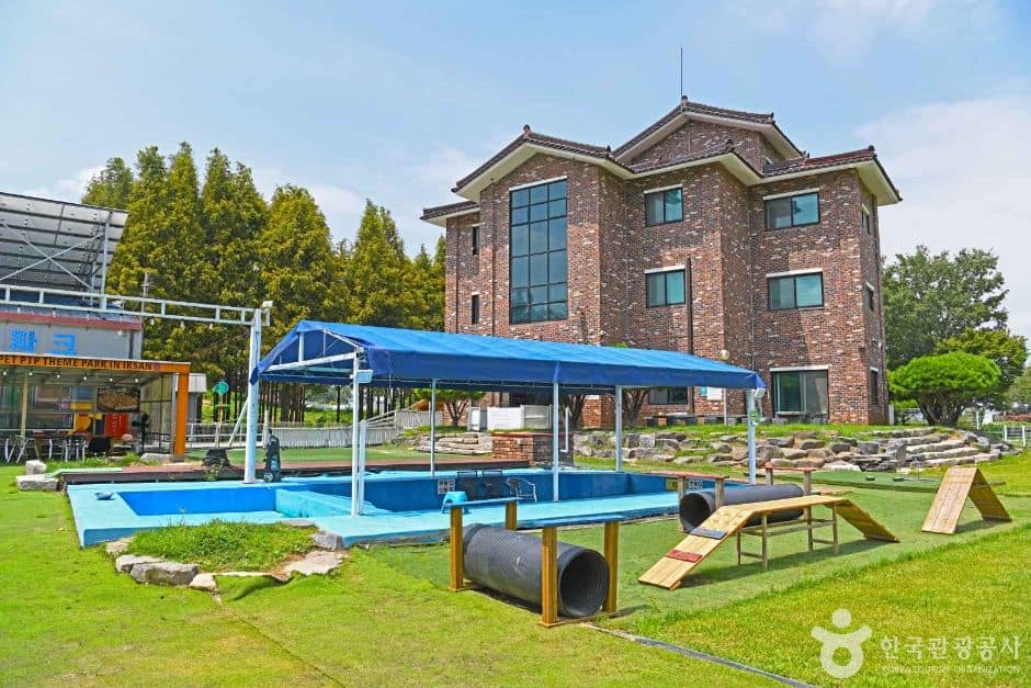 전북_익산_PTP 애견테마파크 (2)