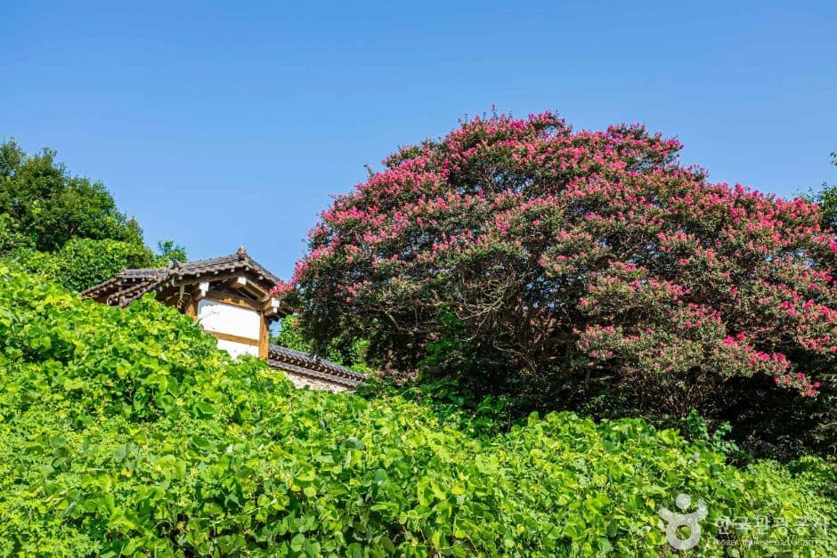 경북_상주_청암서원 (6)