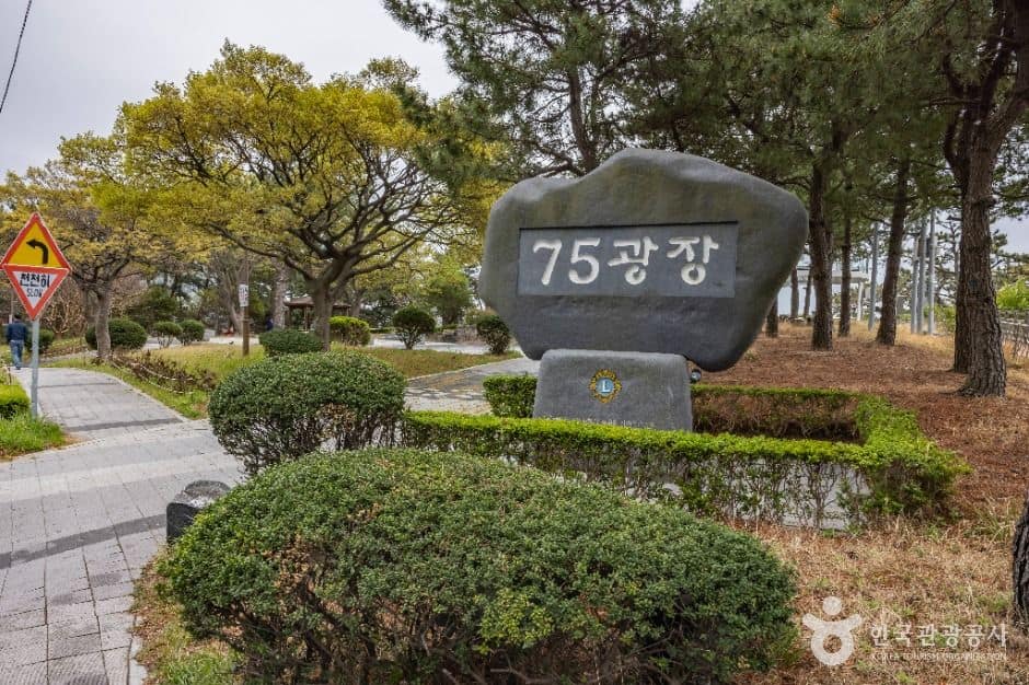 부산_75광장 (9)
