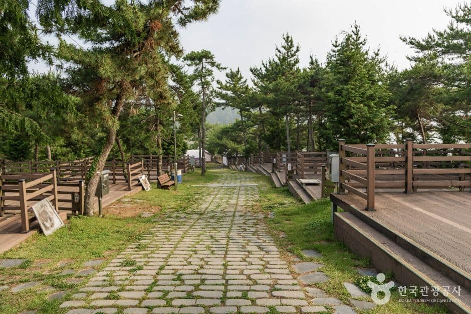 사천_비토국민여가캠핑장 (1)