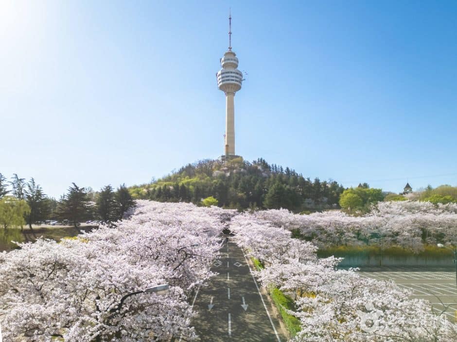 대구_이월드83타워 (5)